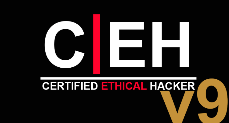 Download CEH v9 PreConfig Lab Wamp + ownCloud + Openssl / Https & Heartbleed + DVWA +&nbsp;WordPress